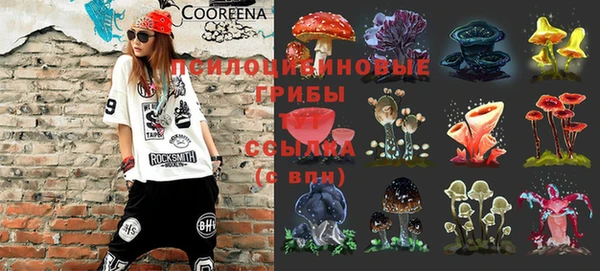 прущая мука Беломорск