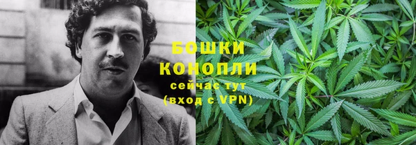 соль ск Богданович