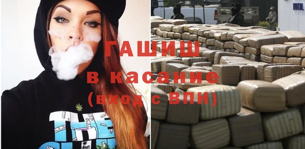 мдпв Богородицк